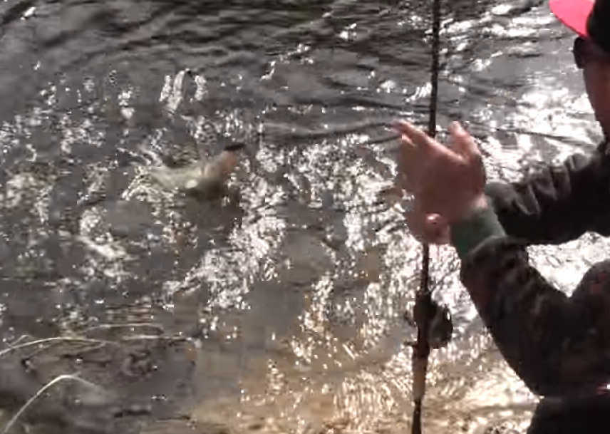 秋の気配が漂うフィールドでバスを釣るにはどうすればいいの？底を取りながら広範囲に探れるアイテムといえば・・・