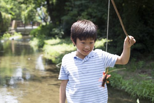 男の子　ザリガニ　竿　釣り糸　川　写真