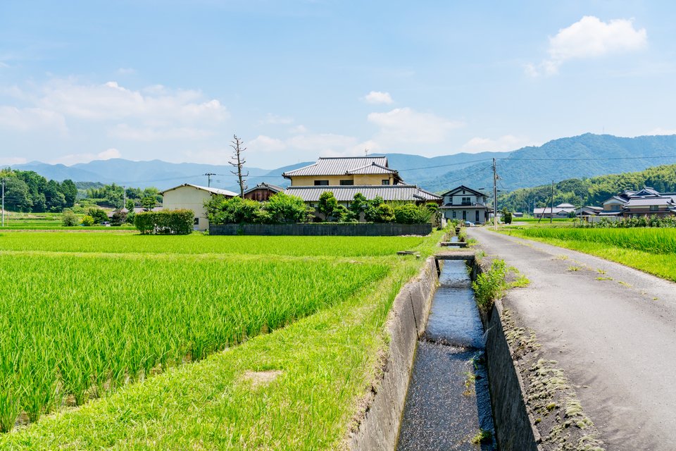 田舎　水路　田んぼ　写真