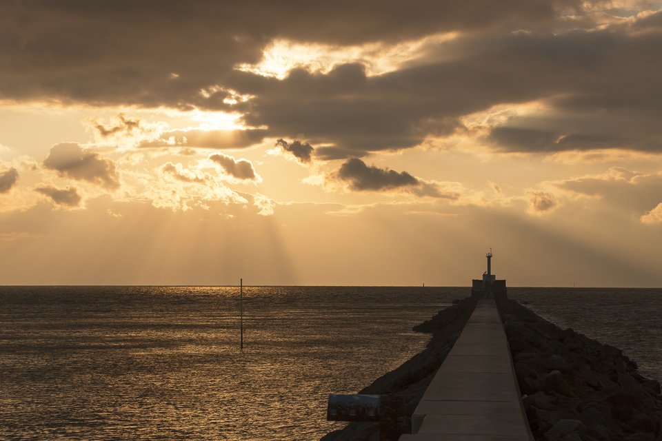 堤防　夕方　写真