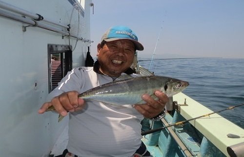 海釣り初心者はアジを狙おう サビキ釣りにビシ釣り アジングまで秋も楽しめるアジ釣りの攻略法を徹底解説