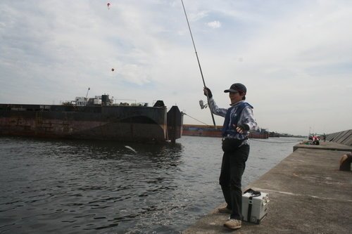 釣り人　釣り竿　アジ　クーラーボックス　防波堤　写真