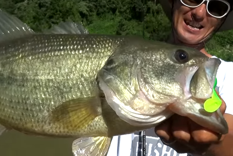 バス ルアー 釣り人 写真