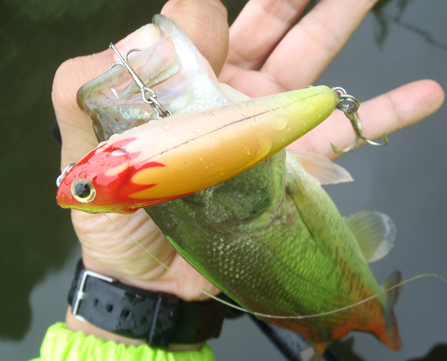 バス　ルアー　写真