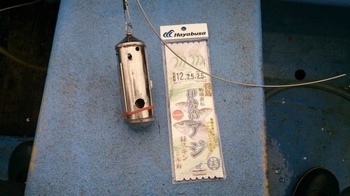 ビシ　疑似バリ　写真