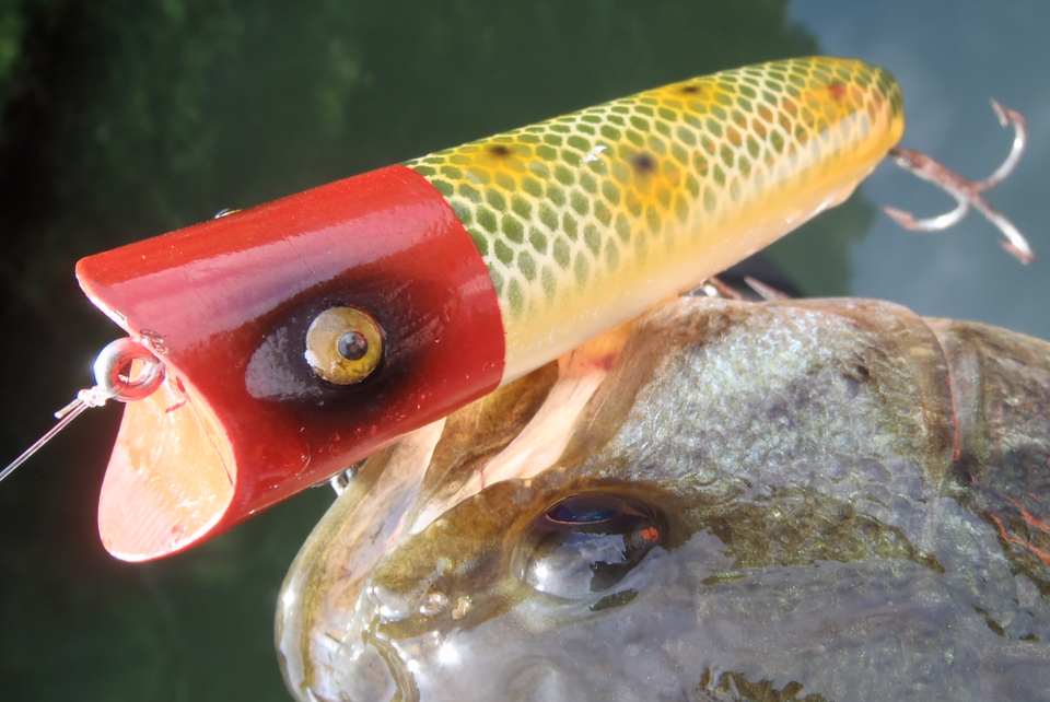 バス ルアー 写真