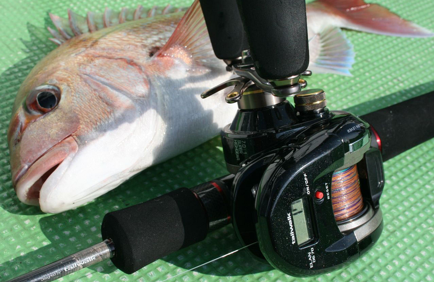 鯛　ロッド　リール　写真