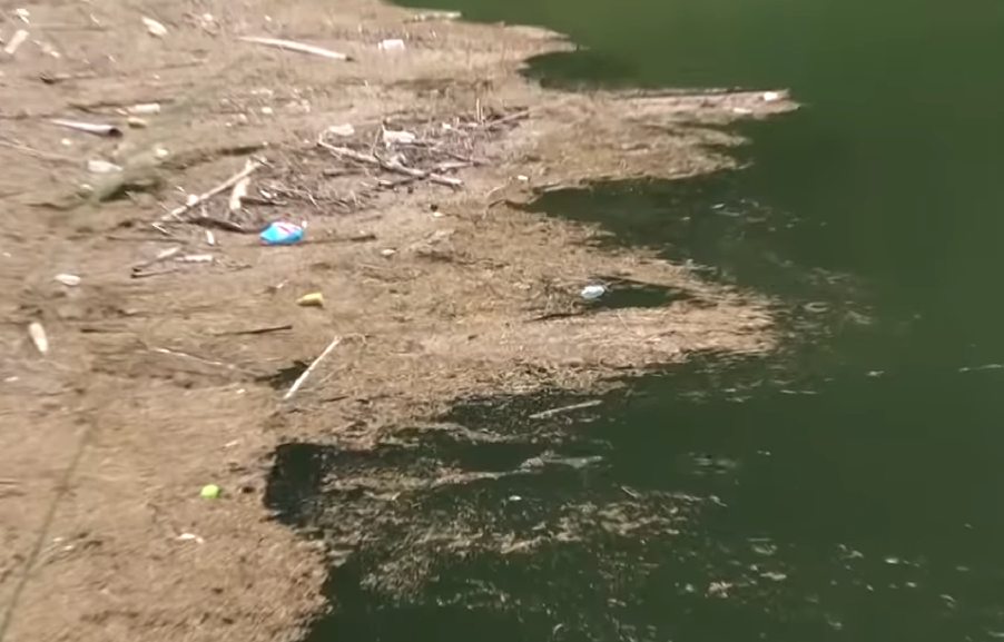 水面　ゴミ　写真