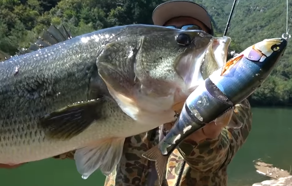 バス　ルアー　写真