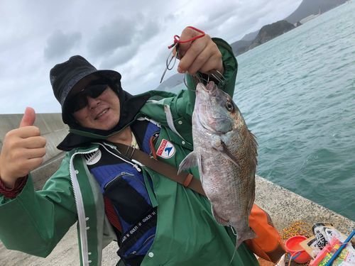 釣り人 イシダイ ダンゴ 堤防 海 写真