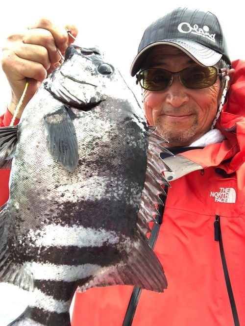 イシダイ 釣り人 男性 写真