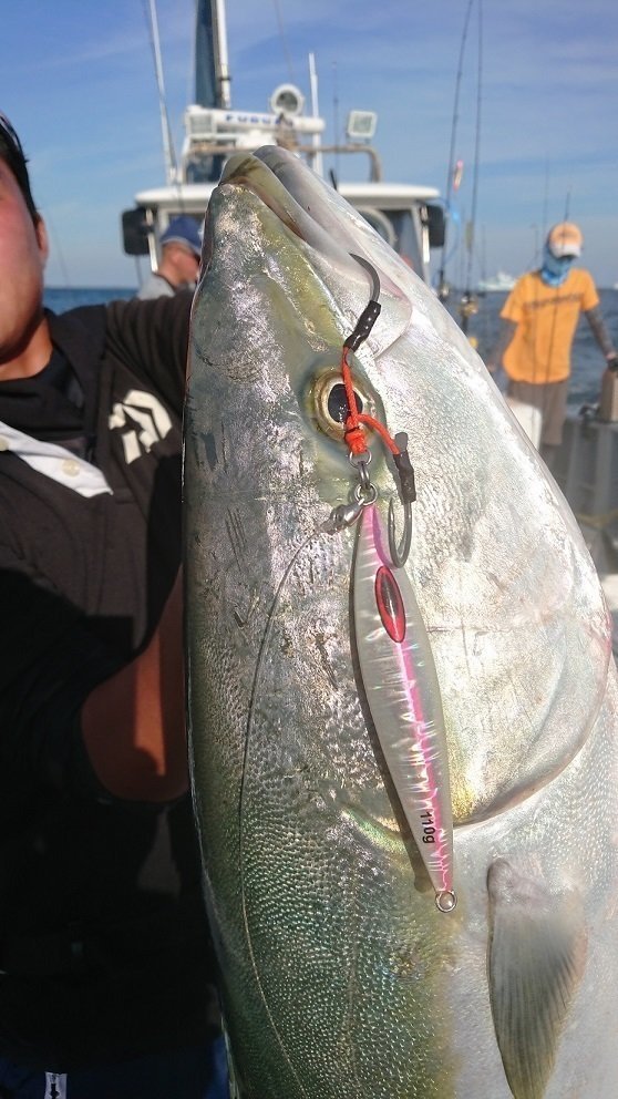 ブリ　ジグ　写真