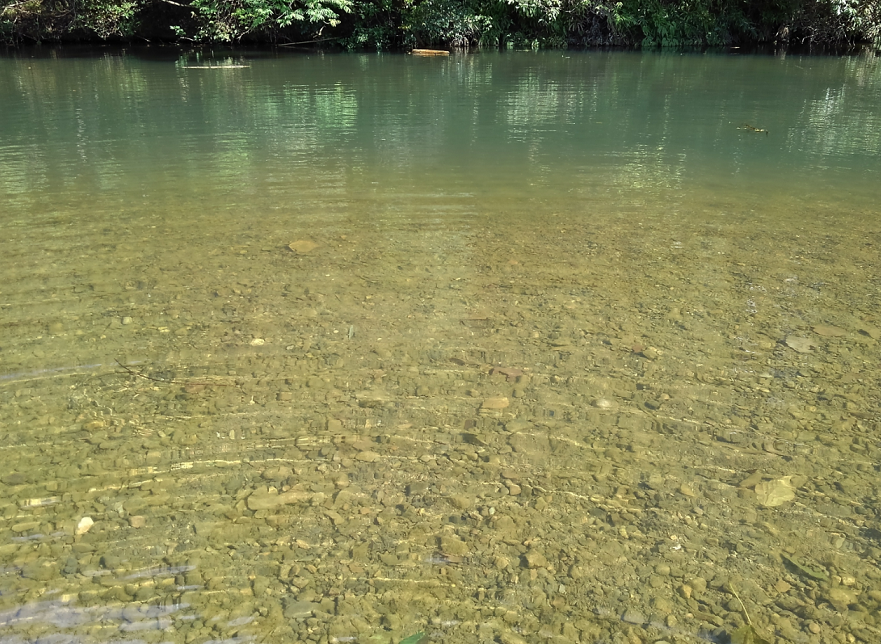 ベイトフィッシュが超浅瀬で群れているのを発見!バスが入って来れそうにない水深だけど何とか効果的に活用できないの?