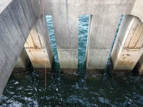 道糸　スリット　海　写真