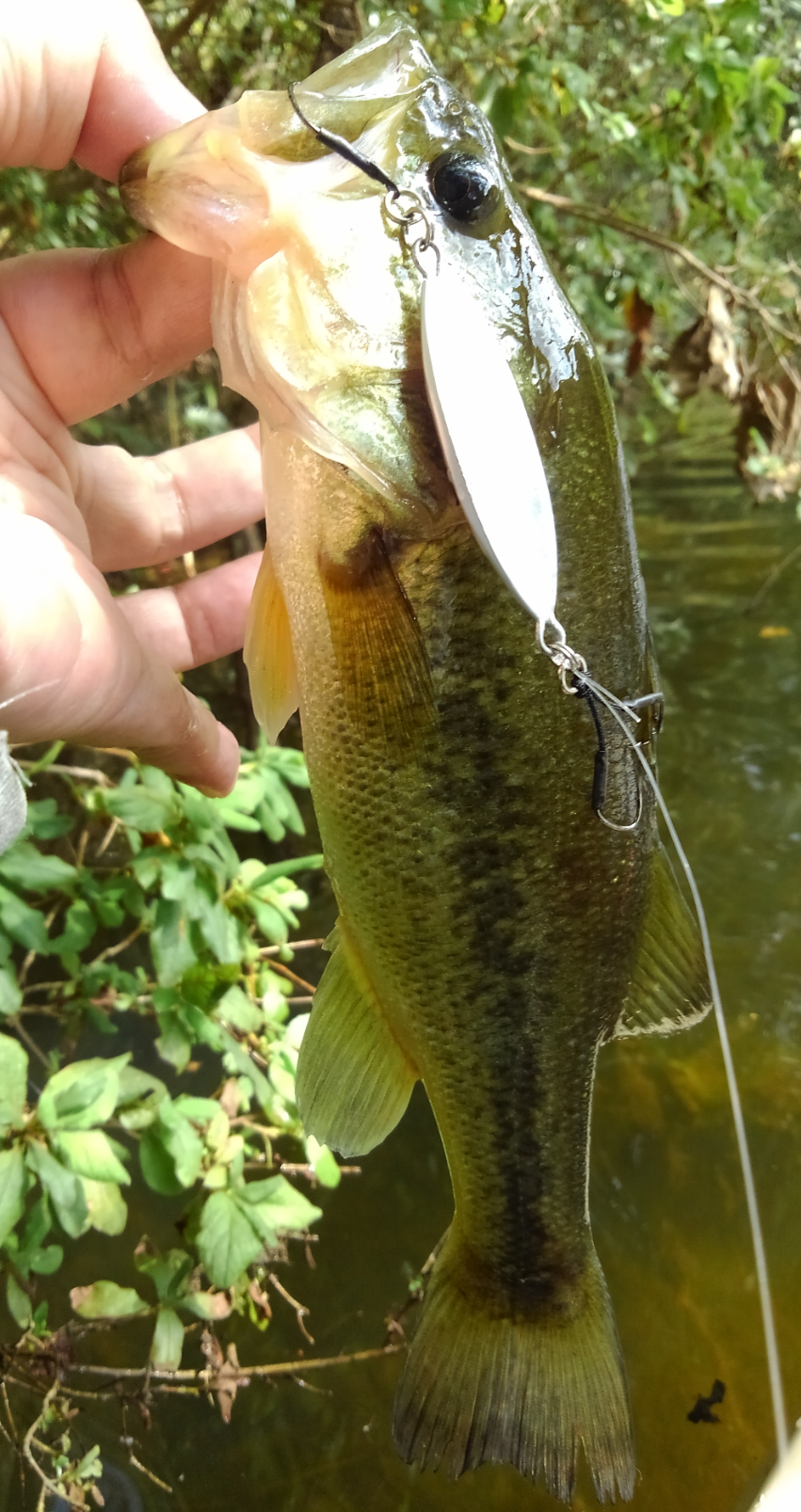 海釣りで使うショアスロー専用ジグを活用してバスを攻略しよう 日中のタフタイムを楽しむための秘策とは