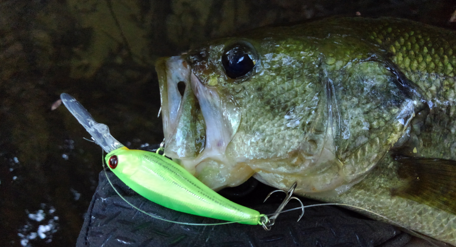 バス　ルアー　写真