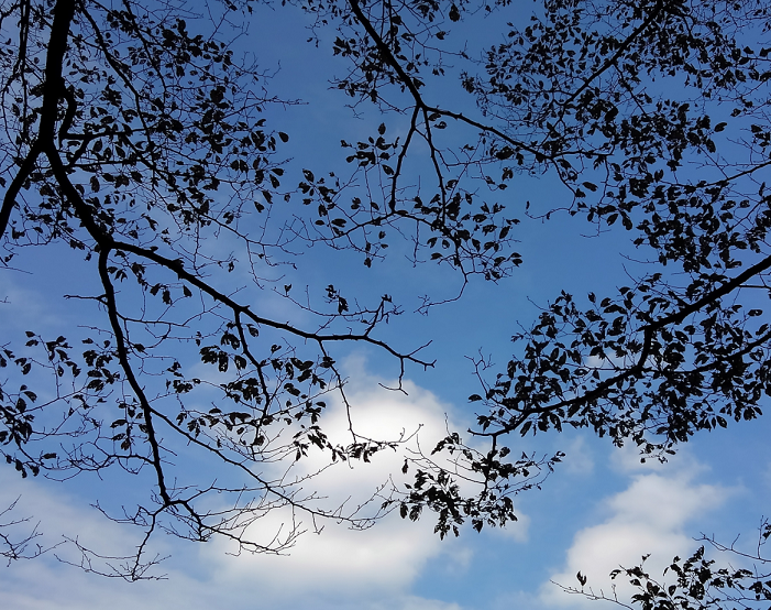 寒さを感じる季節到来！こんな寒さの中でも魚は釣れるの？釣り場でどんな行動や過ごし方をすれば釣りが成立するか徹底チェック！