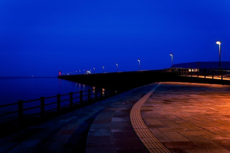 夜の堤防の写真