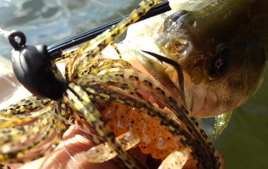 バス　ルアー　写真