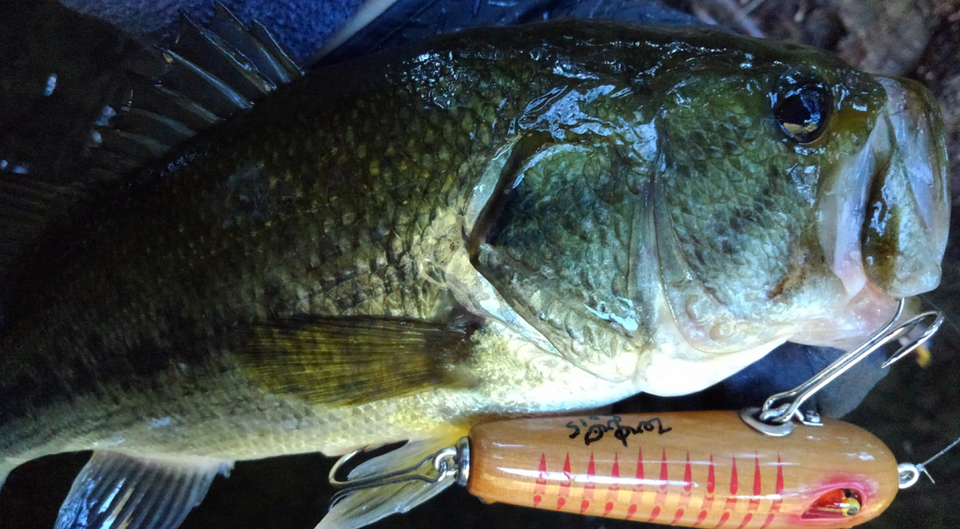 バス ルアー 写真