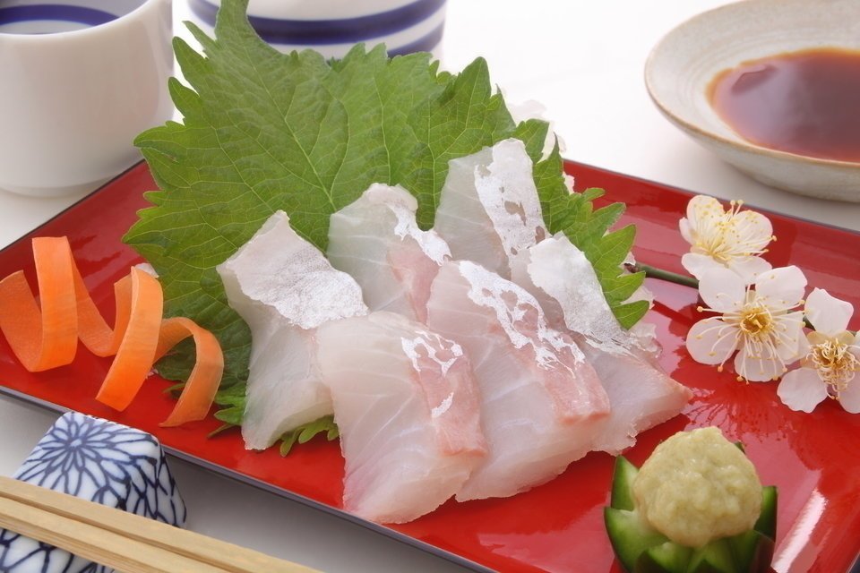 スズキ 刺身 シーバス