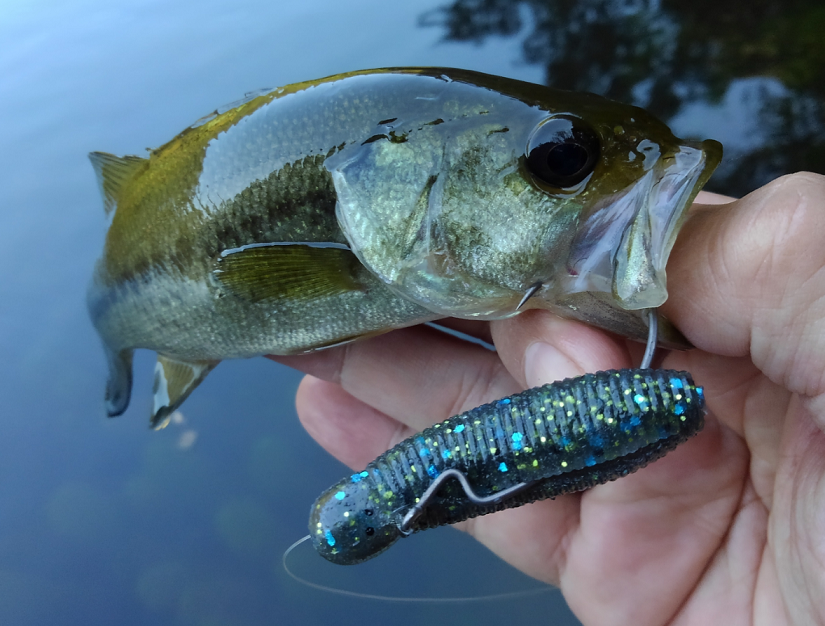 バス釣りで高比重ワームを使ったことある ノーシンカーリグの状態でぶっ飛び性能を誇る高比重ワームが釣れる理由