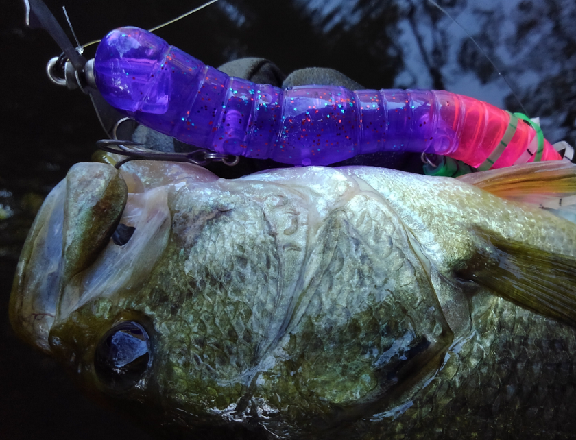 バス ルアー 写真