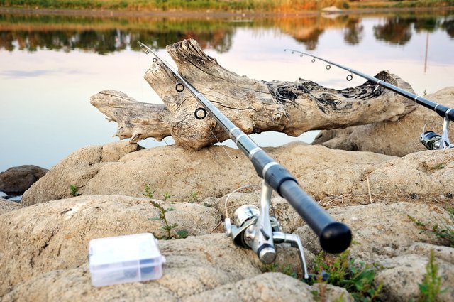 竿 オモリ負荷 磯釣り 船釣り