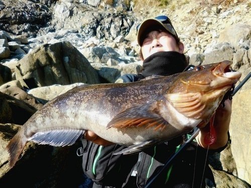 アイナメ　釣り人　男性　釣り竿　岩　写真