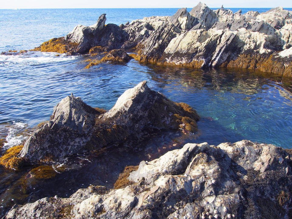 浅瀬　シャローエリア　海岸