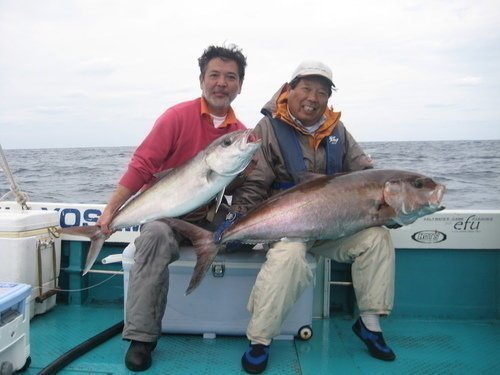 釣り人　男性　仕掛け　泳がせ釣り