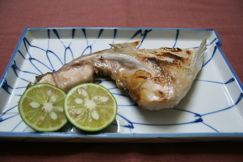 カンパチ　カマ　すだち　皿　写真