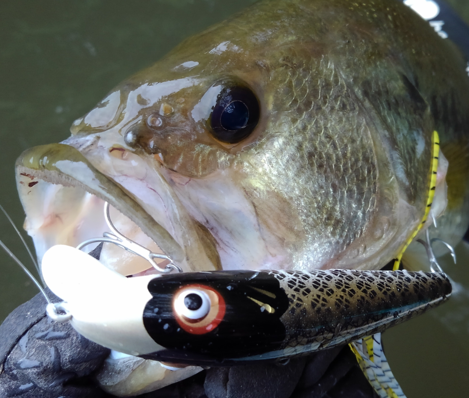 バス　ルアー　写真