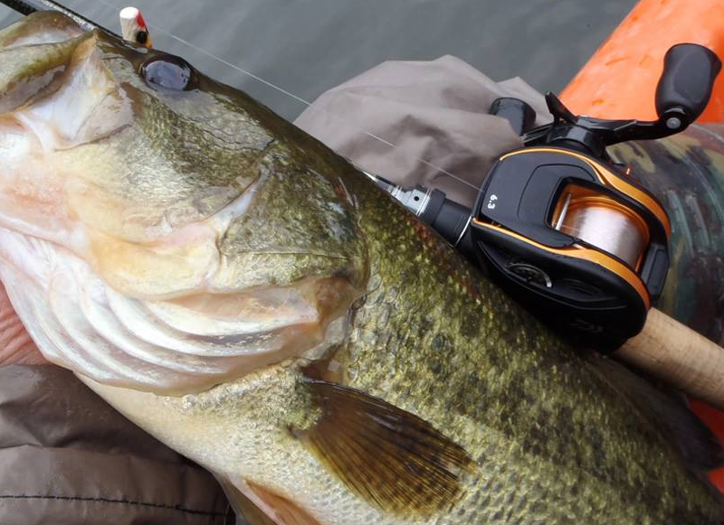 ベイトフィネスタックルを使ってバスをゲット