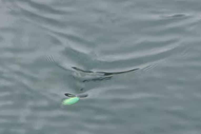 水面　引き波　ルアー　写真