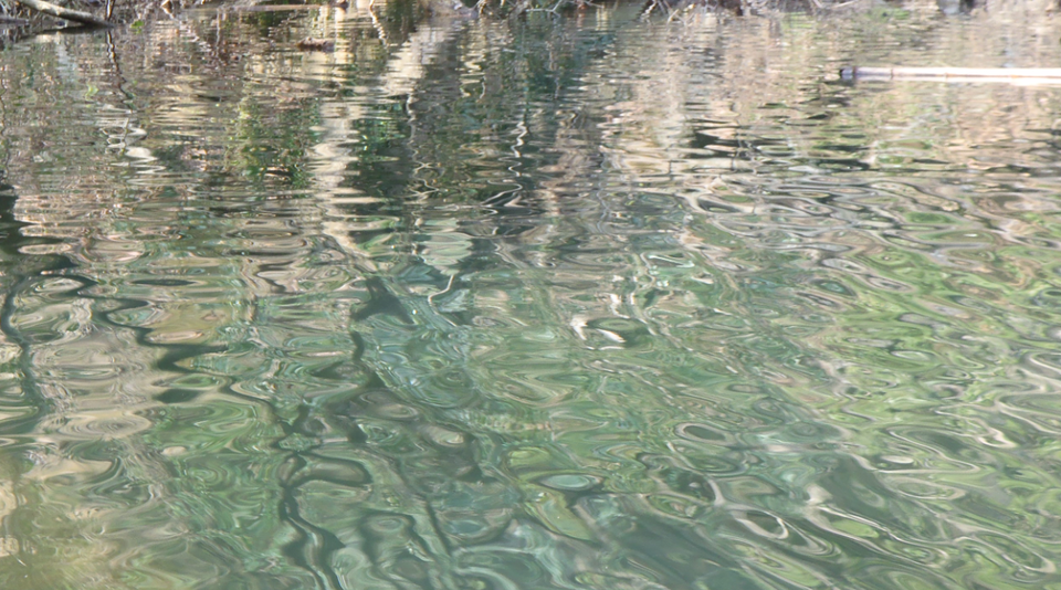 カレント　写真