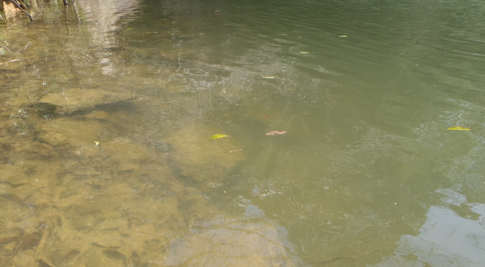 ブレイク　写真