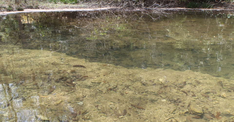 チャンネル　写真