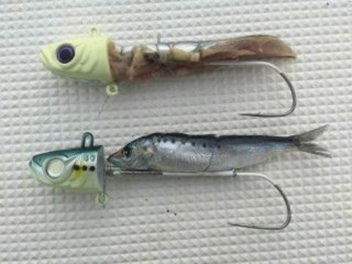 サンマの餌　イワシの餌　テンヤ　写真