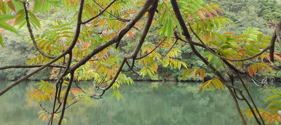 池 写真