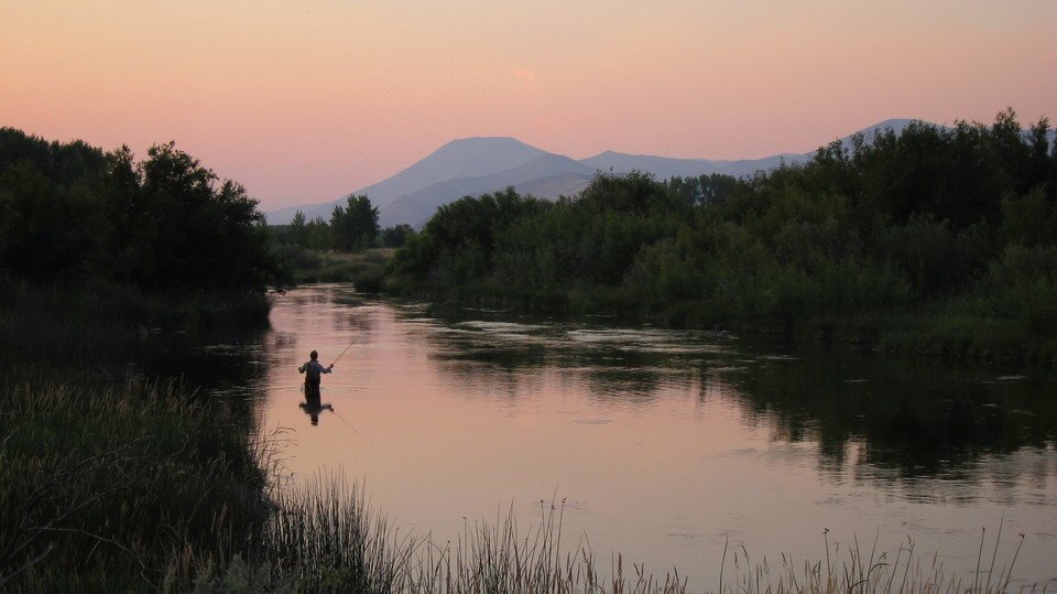 釣り　川　自然