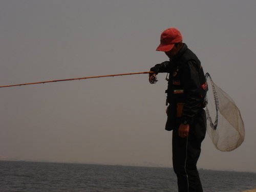 釣り人　男性　釣り竿　タモ　海　写真