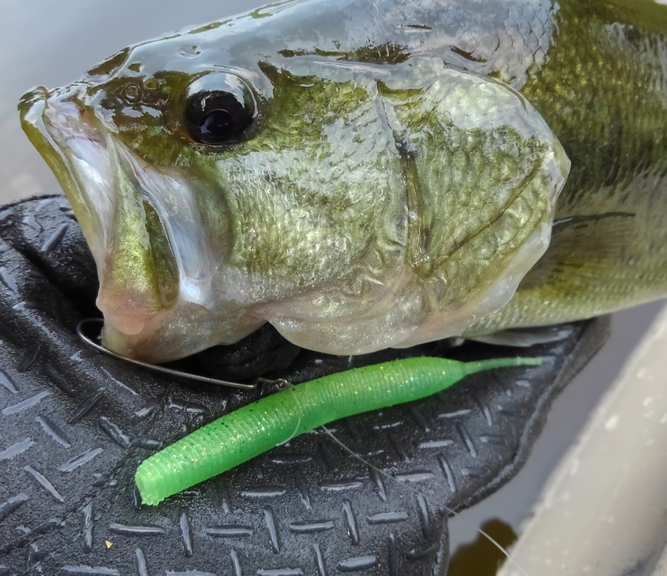 ワームの釣りが人気なのはナゼ よく釣れる理由を種類別にチェックしてみた