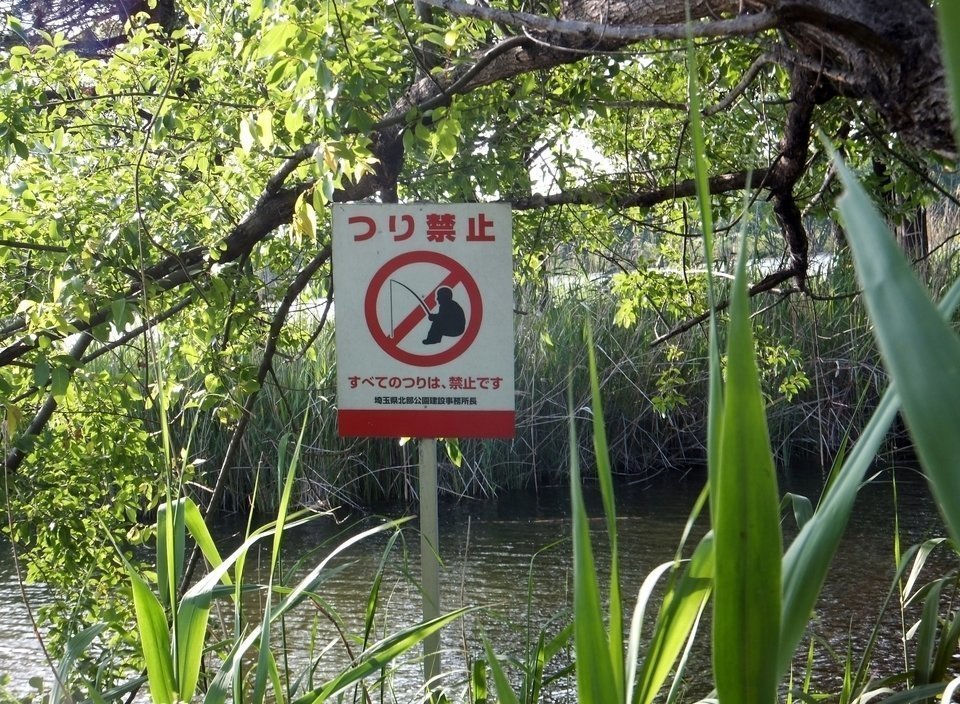 釣り　禁止　写真