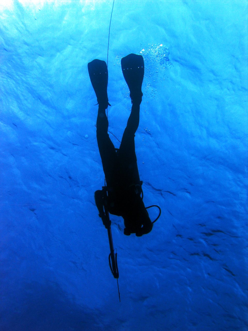 ダイバー　水中銃　海水　写真