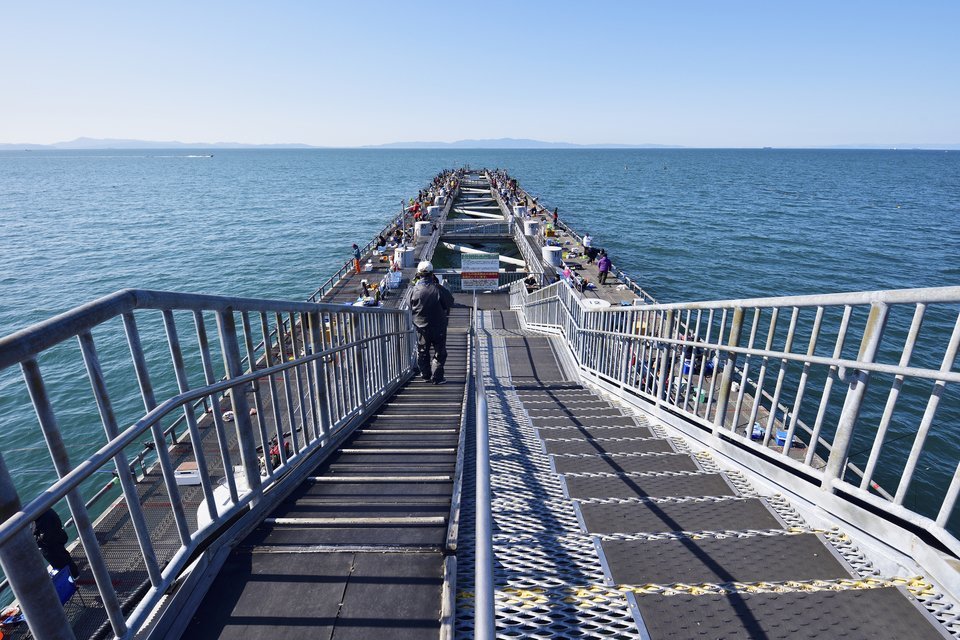 海上釣り堀　釣り　海　写真