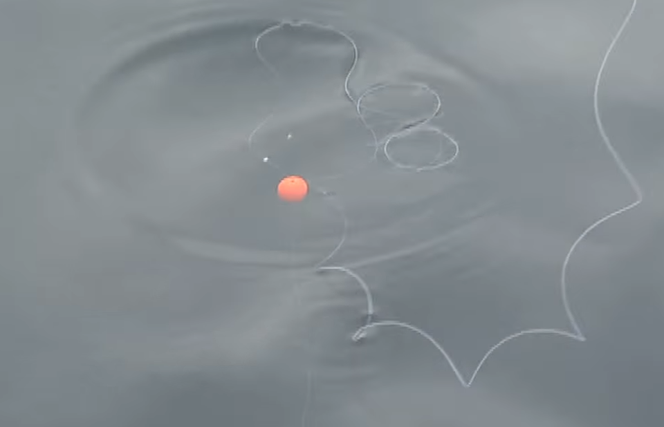 浮き　ライン　写真