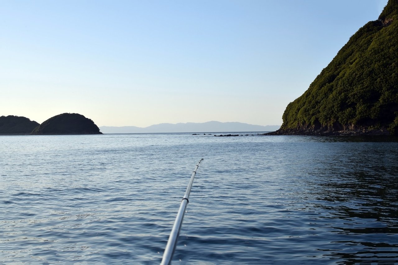ヤリイカの釣り方をマスターしよう！船釣りでヤリイカを釣る方法