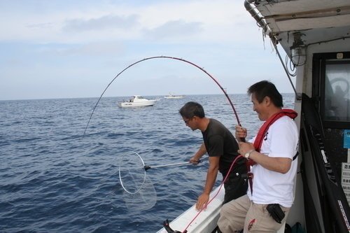 釣り人　男性　釣り竿　タモ　釣船　海　空　写真　
