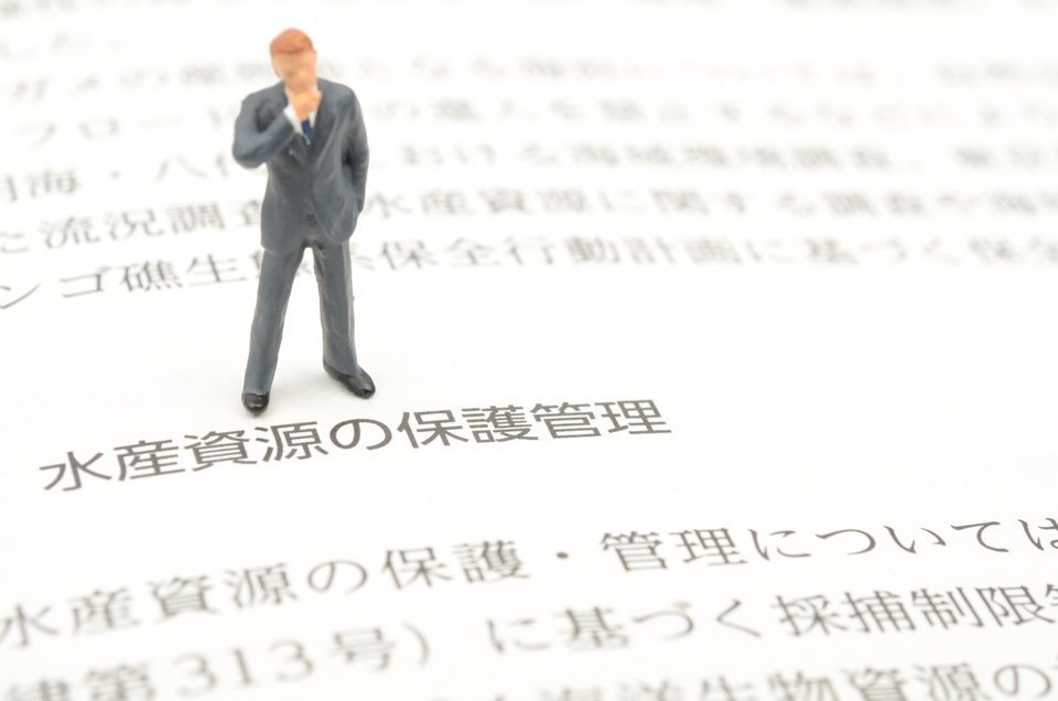 鮭は水産資源保護法に関するイメージ